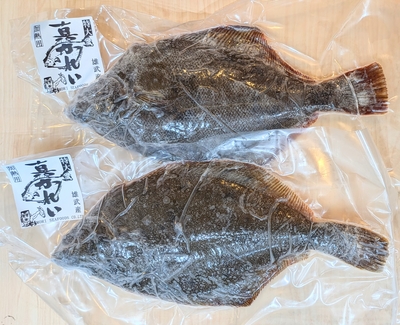 生冷凍　真鰈１枚（約800ｇ）