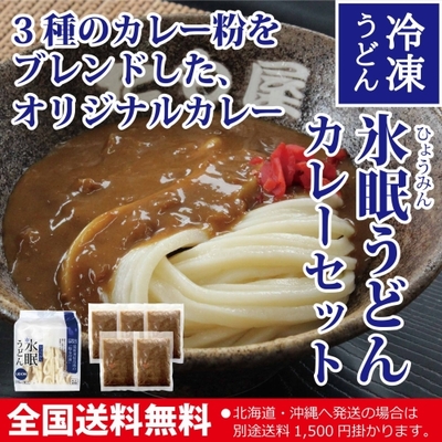 【夏限定】氷眠うどんカレーセット5人前