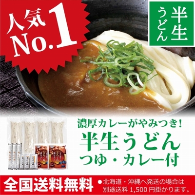 【夏限定】半生うどん(つゆ・カレー付)8人前