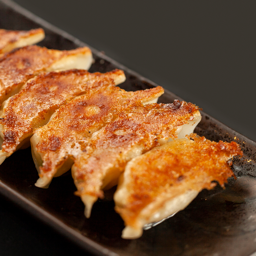 ひろしの餃子 特製 1箱16個入り | ひろしの餃子【直営店】