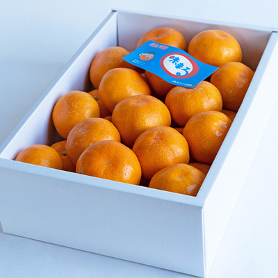 味まるみかん M 30玉【A】