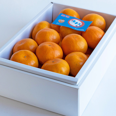 味まるみかん L 25玉【A】