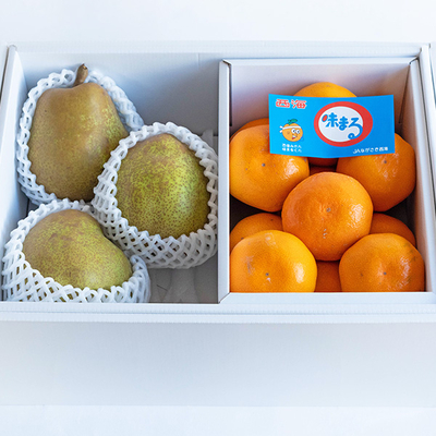 ラ・フランス&味まるみかんセット【A】