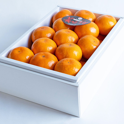 美味柑 L 25玉【A】