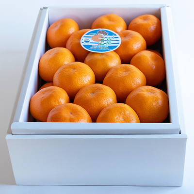 三ケ日みかん M 30玉【A】