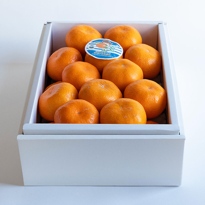 三ケ日みかん L 25玉【A】