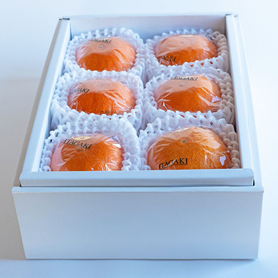 紅まどんな 2L 6玉【A】