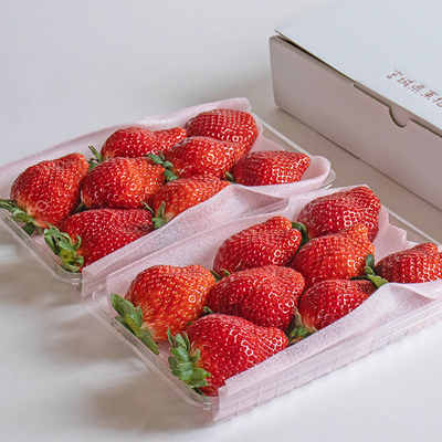 厳選くだもの | いたがきネットショップ