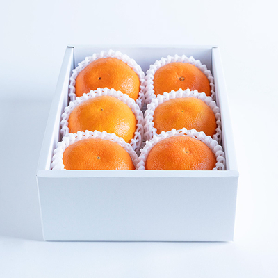 愛媛県産 甘平 6玉【A】