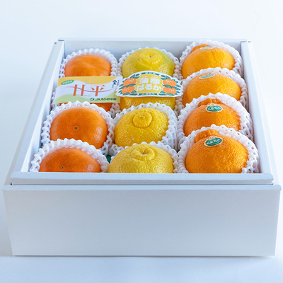 甘平・はるか・デコポン食べくらべセット【A】