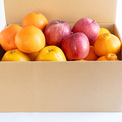 春を味覚で感じる旬のフルーツセット