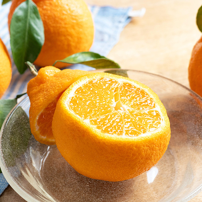 愛知県蒲郡産 樹熟デコポン4L　8玉【A】