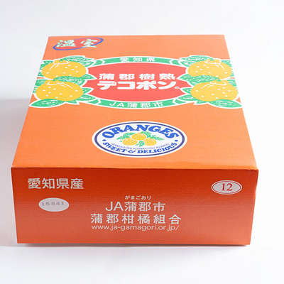 愛知県蒲郡産 樹熟デコポン3L　10玉【A】
