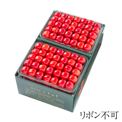 ST02　佐藤錦 特選手詰め500g&times;2