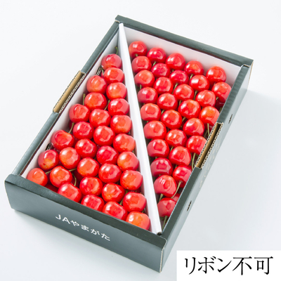 SB01　佐藤錦 特選手詰め1kg