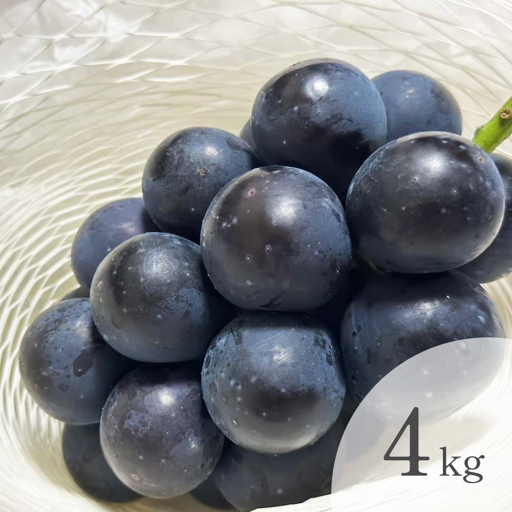 nagnao4kg_1710058721553.jpg