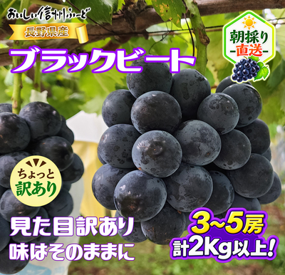 【銀行振込のみ】【クール便】【新鮮朝採り】黒系 ぶどう ブラックビート 2Kg