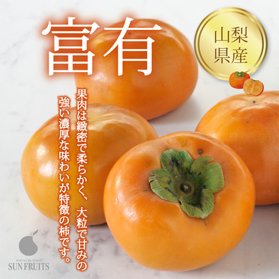 【 ネットストア限定】山梨県産 富有柿 6個(1.5kg)大粒で甘みの強い濃厚な味わいが特徴の柿です。