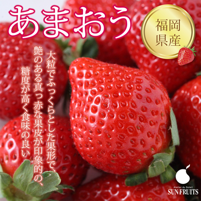 ギフト 手土産【 ネットストア限定】福岡県産　あまおう　18粒入(360g)　甘味と酸味のバランスのとれたいちごです。
