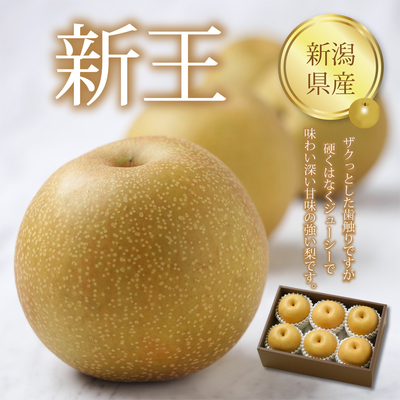 ※期間限定商品【ネットストア限定】新潟県産 新王　6個入（1.8kg）ザクっとした歯触りですが硬くはなくジューシーで味わい深い甘味の強い梨です。
