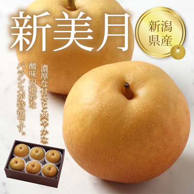  ※期間限定商品【ネットストア限定】新潟県産 新美月　６個入(1.8kg)