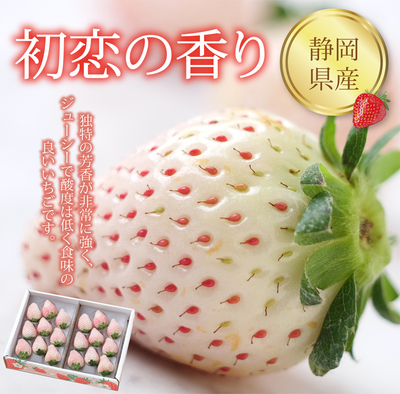 【ネットストア限定】　静岡県産　初恋の香り　９〜11粒（210g）&times;２パック入り　『ジューシーで酸度は低く食味の良いいちごです。』