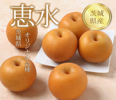 【ネットストア限定】茨城県産　恵水　6個入　(約3.0kg入)
