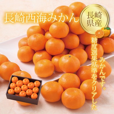 Citrus（柑橘） | 青果店 サン・フルーツ