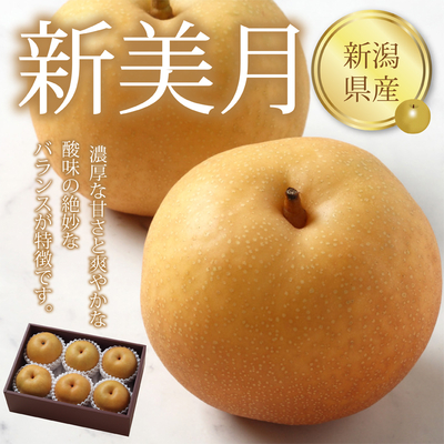 ネットストア限定【新潟県産　新美月】６個入(1.8kg) 新潟県オリジナル品種。濃厚な甘さと爽やかな酸味の絶妙なバランスが特徴です。