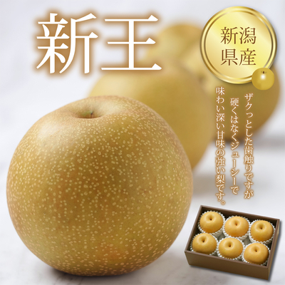  ネットストア限定【新潟県産 新王】6個入（2.4kg）ザクっとした歯触りですが硬くはなくジューシーで味わい深い甘味の強い梨です。