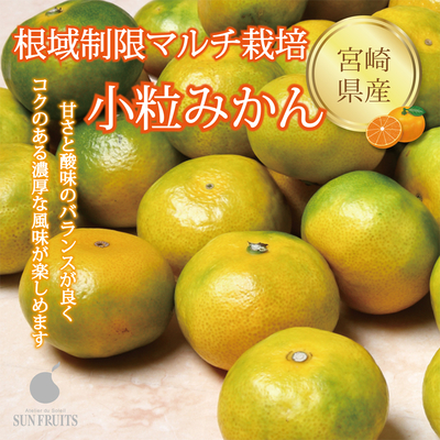 【ネットストア限定】宮崎県産 小粒みかん 2kg (36～40個)　糖度12度以上、酸度1％以下。甘さと酸味のバランスが良く、中の皮が薄いのが特徴です。