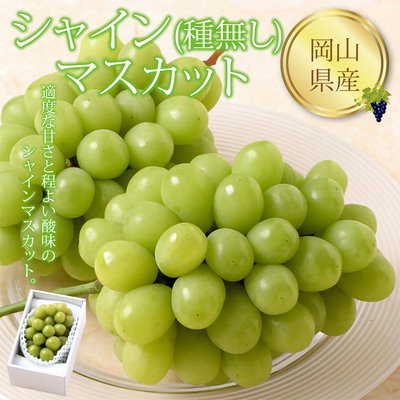 【ネットストア限定】岡山県産 シャインマスカット（種無し）1房入(500g)　種がなく果皮も薄め、皮ごとお召上がり頂けるぶどうです。