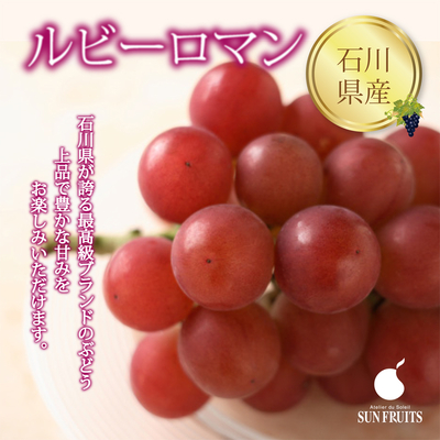 【※こちらの商品は配送日時指定が承ることが出来ない商品です】石川県産　ルビーロマン　1房入り（500g）