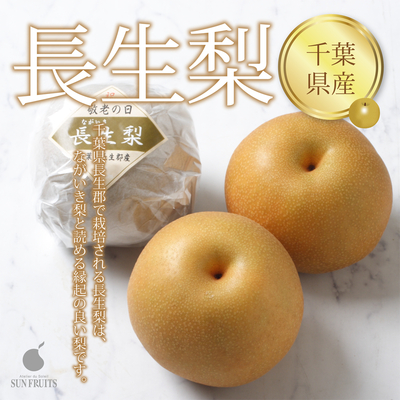 ※敬老の日におすすめ【ネットストア限定】千葉県産　長生梨 6個入り（約1.8kg）
