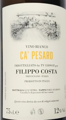 フィリッポ・コスタカ・ペーザロ・ビアンコ2023白・醸し