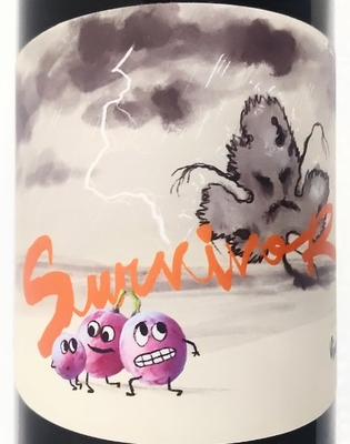 パーネヴィーノ / Survivor Rosato サヴァイヴァー ロザート2023(L.RS 23)赤