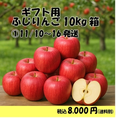 りんご「ふじ」10kg（11/10～16発送）