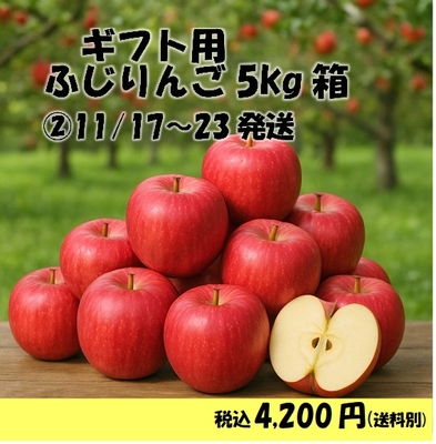 りんご「ふじ」5kg（11/17～23発送）