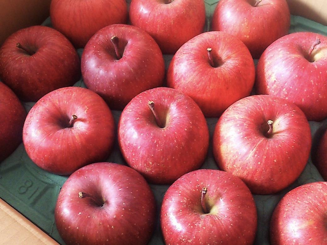 【11月中旬〜】ギフト用ふじ 3kg ふじた農園ネットショップ