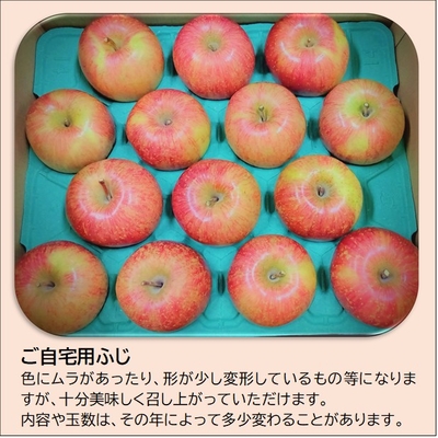 りんご「ふじ」10kg（ご自宅用）