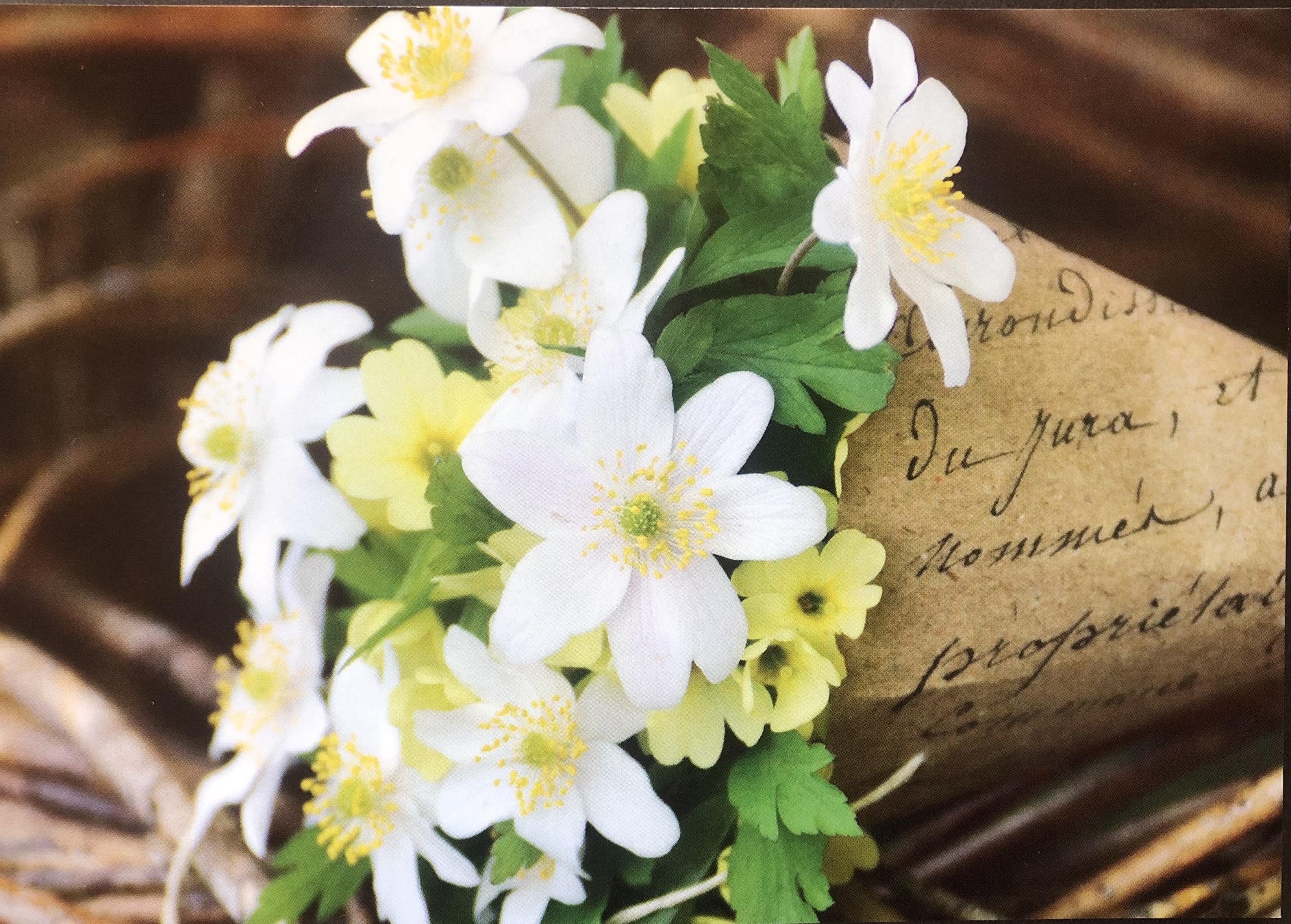 各種ポストカードあります