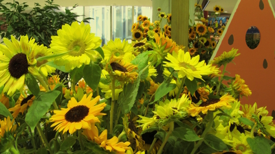 作品プリント『PHOTOSAI』Vol.50（P25）