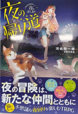 夜のあしあと 夜の帰り