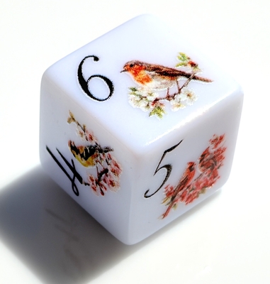 花枝に小鳥さえずる D6