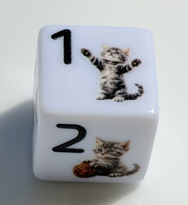 遊んで欲しいこねこちゃん D6