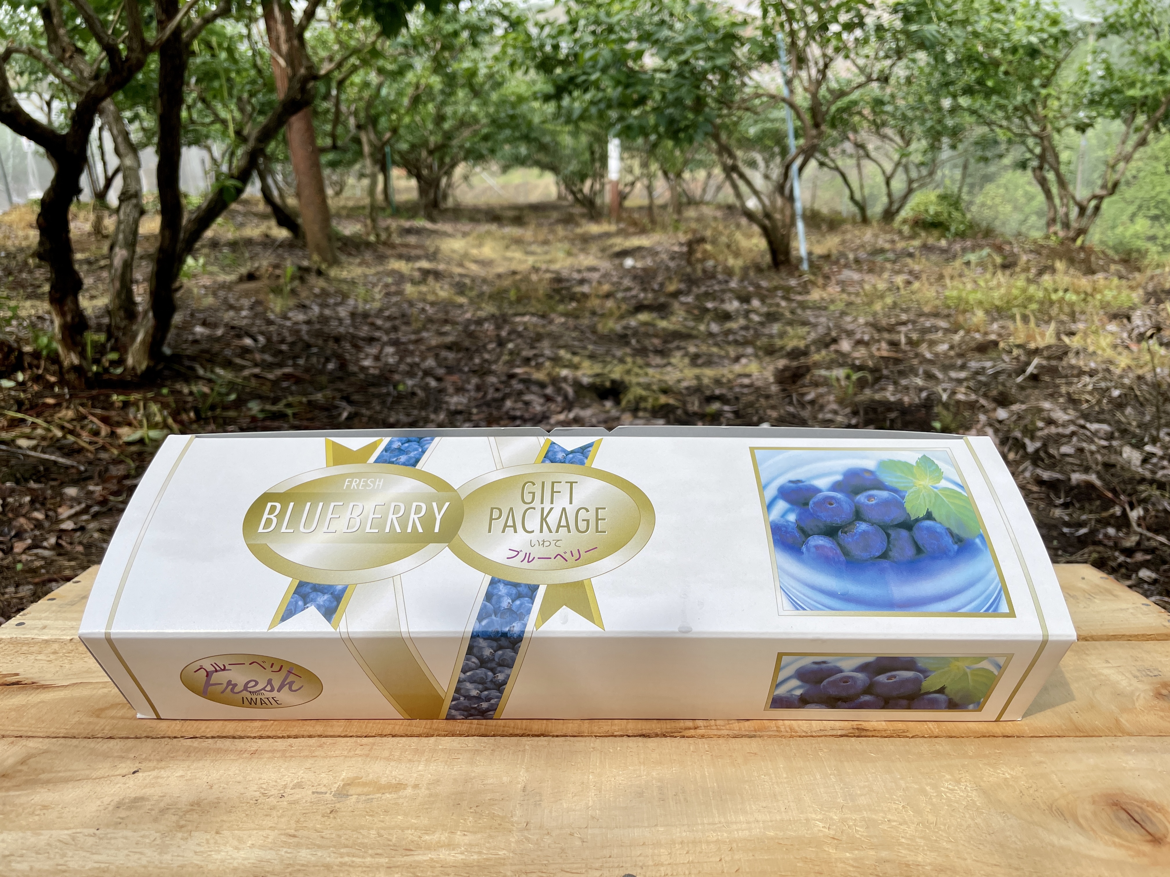 ブルーベリー3Lサイズ | 藤与果樹園WEBショップ