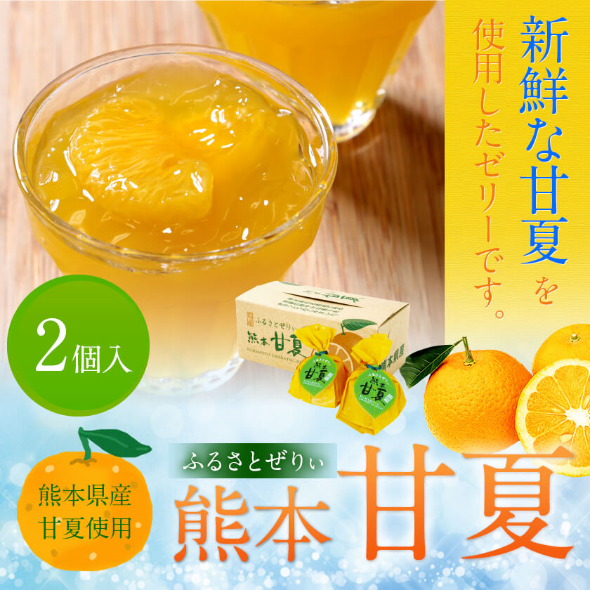 甘夏 3月お届け】甘夏 2L玉 10kg（25玉前後）: JAあしきた|【JAタウン