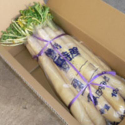 干し大根 L（葉なし）11本～15本入　10kg