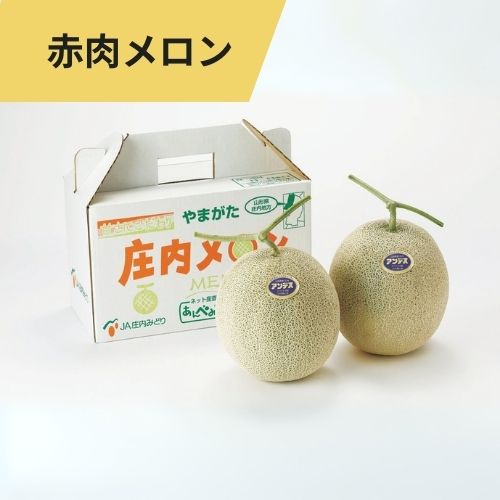 ※メロン※ つる付き贈答用 赤肉メロン（2玉） | あんべみれ