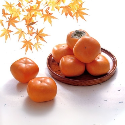 庄内柿5ｋｇ（26玉入）